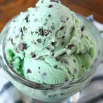 Delicious Ninja Creami Mint Chocolate Chip Ice Cream