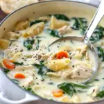 Creamy Chicken Soup with Pasta and Spinach